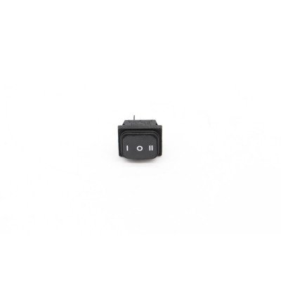 MCG PANINI - Spring With...