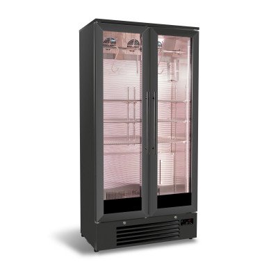 DRY AGE SCHRANK 458L