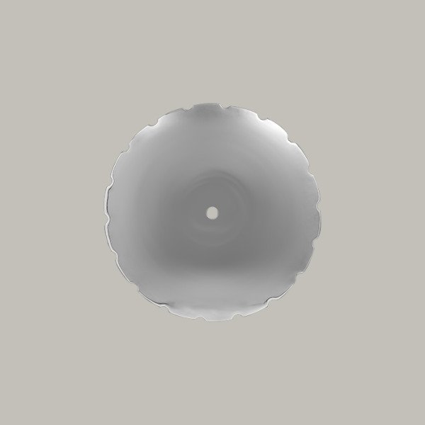 Platte gezackt – Edelstahlplatte für Meeresfrüchte, 26 cm, 12 Stück