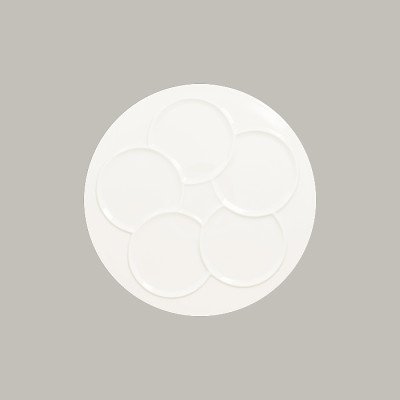 Teller mit Einteilungen für...