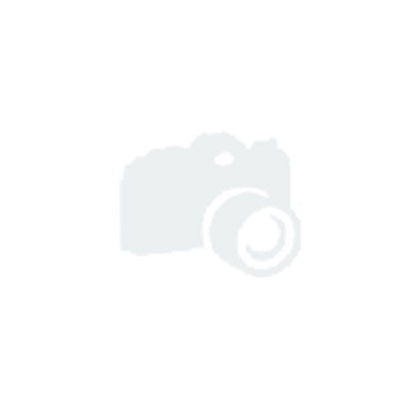 Ovale Platte aus Bone China – Spectra Kollektion von RAK Porcelain, 6-teilig