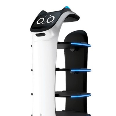 Robot Servitore Pudu BellaBot