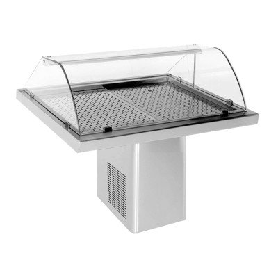 GEKÜHLTE FISCH VITRINE 1.4