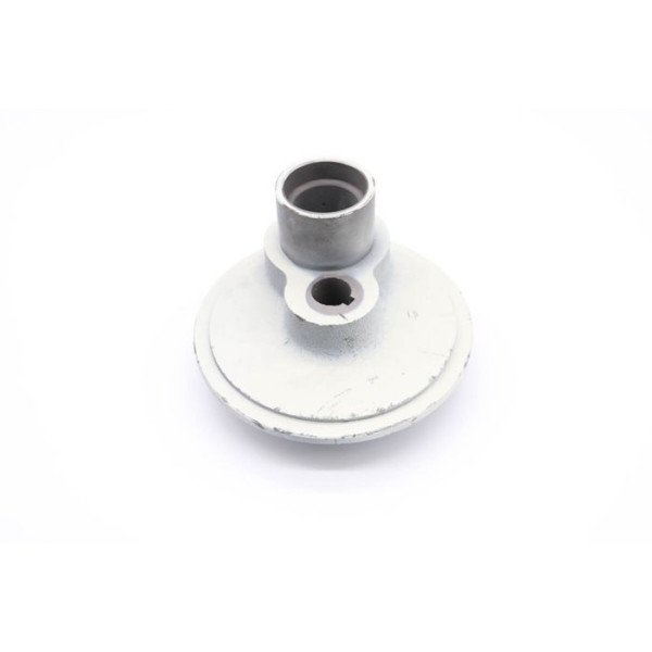 MPM10 - Translocation