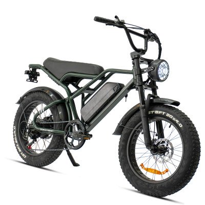 DeliGo FN10 E-Fatbike 500W:...