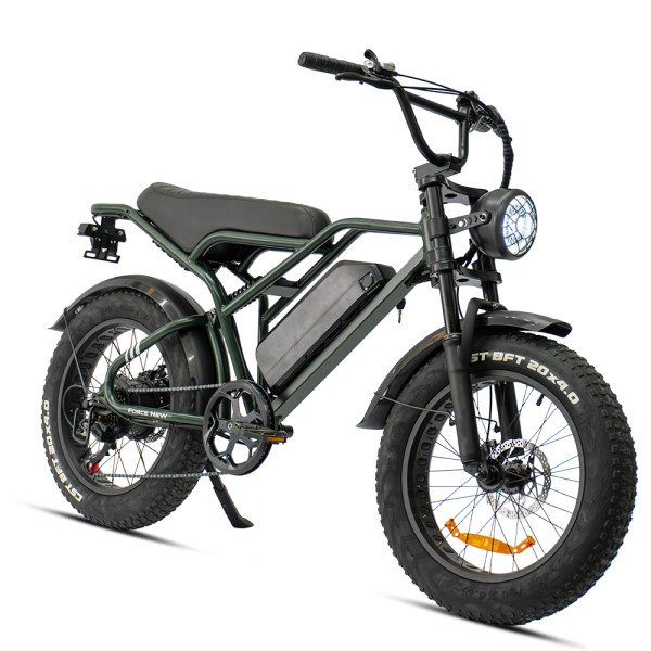 DeliGo FN10 E-Fatbike 500W: Robust, 48V Akku & Off-Road