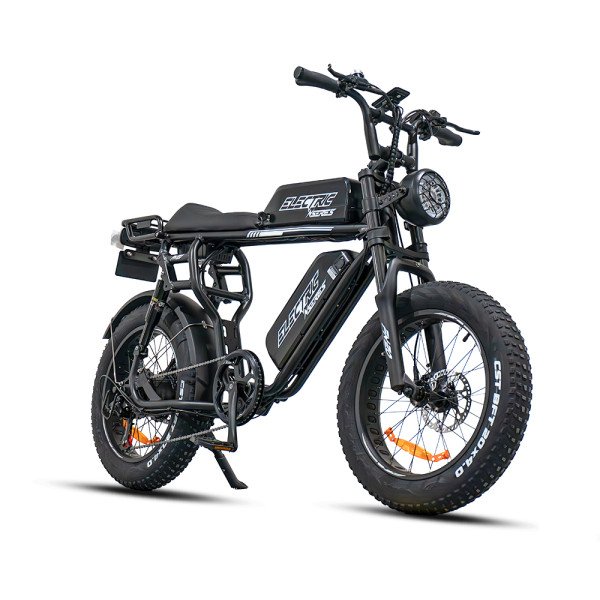 DeliGo Fire Dragon FN20: 500W E-Fatbike, 20Ah Samsung Akku