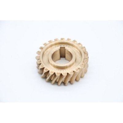 MPM20/30 - Worm Gear 58