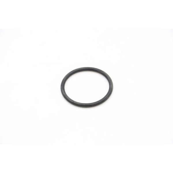 VN500/2000 - O-Ring 4.6 X 38.7