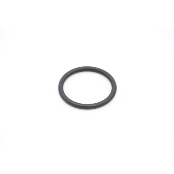 VN500/2000 - O-Ring For Heating Element Boiler