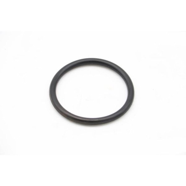 DPP15/20 - Sealing Ring 31