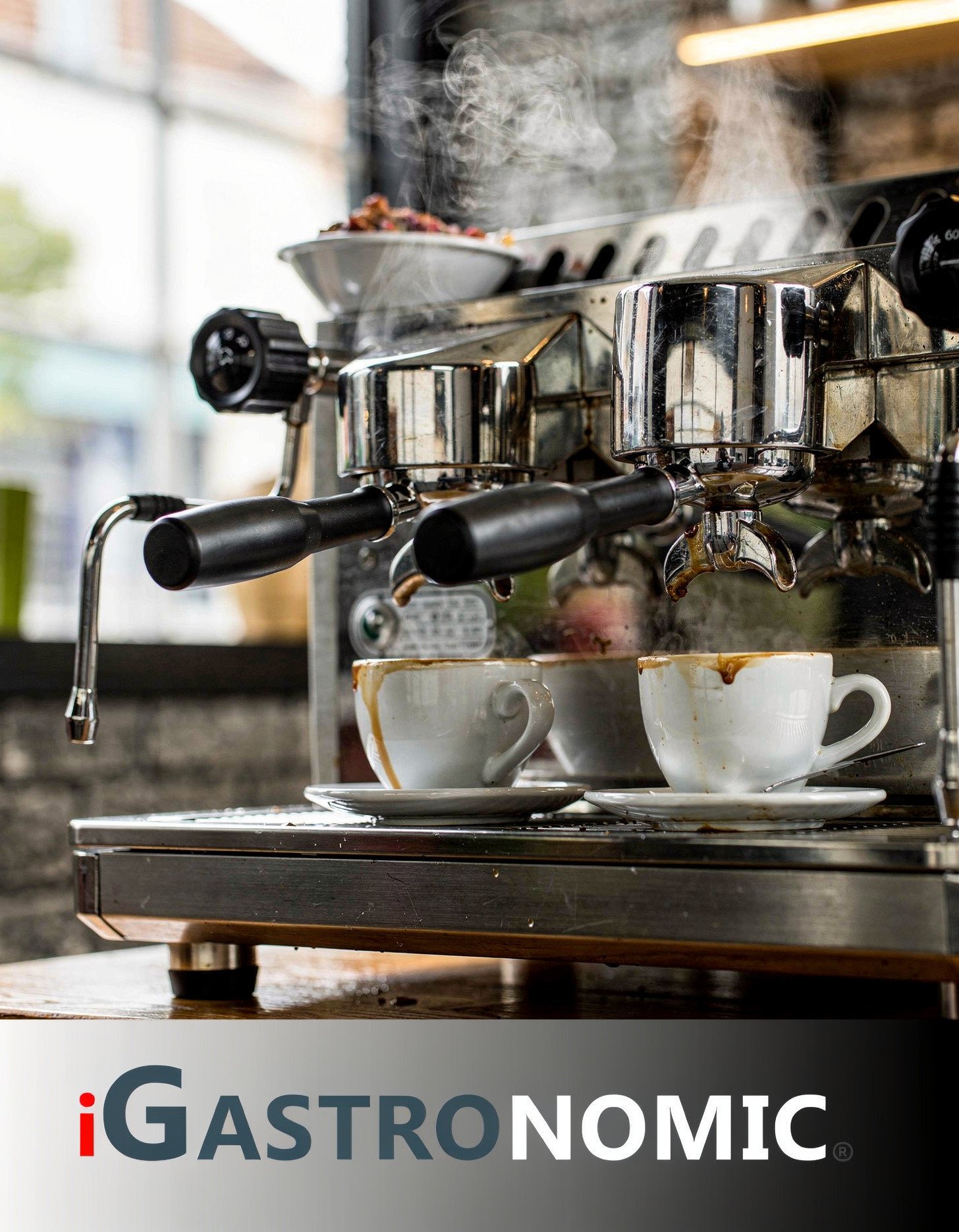 Discover the Aviator 3-Groups Portafilter Machine: Elevate Your Coffee Experience